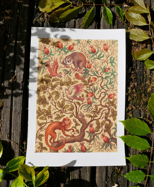 Monkeys in the Fruit Tree