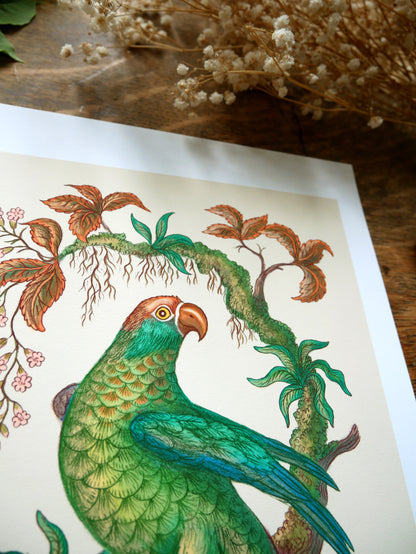 Bird of Paradise Print