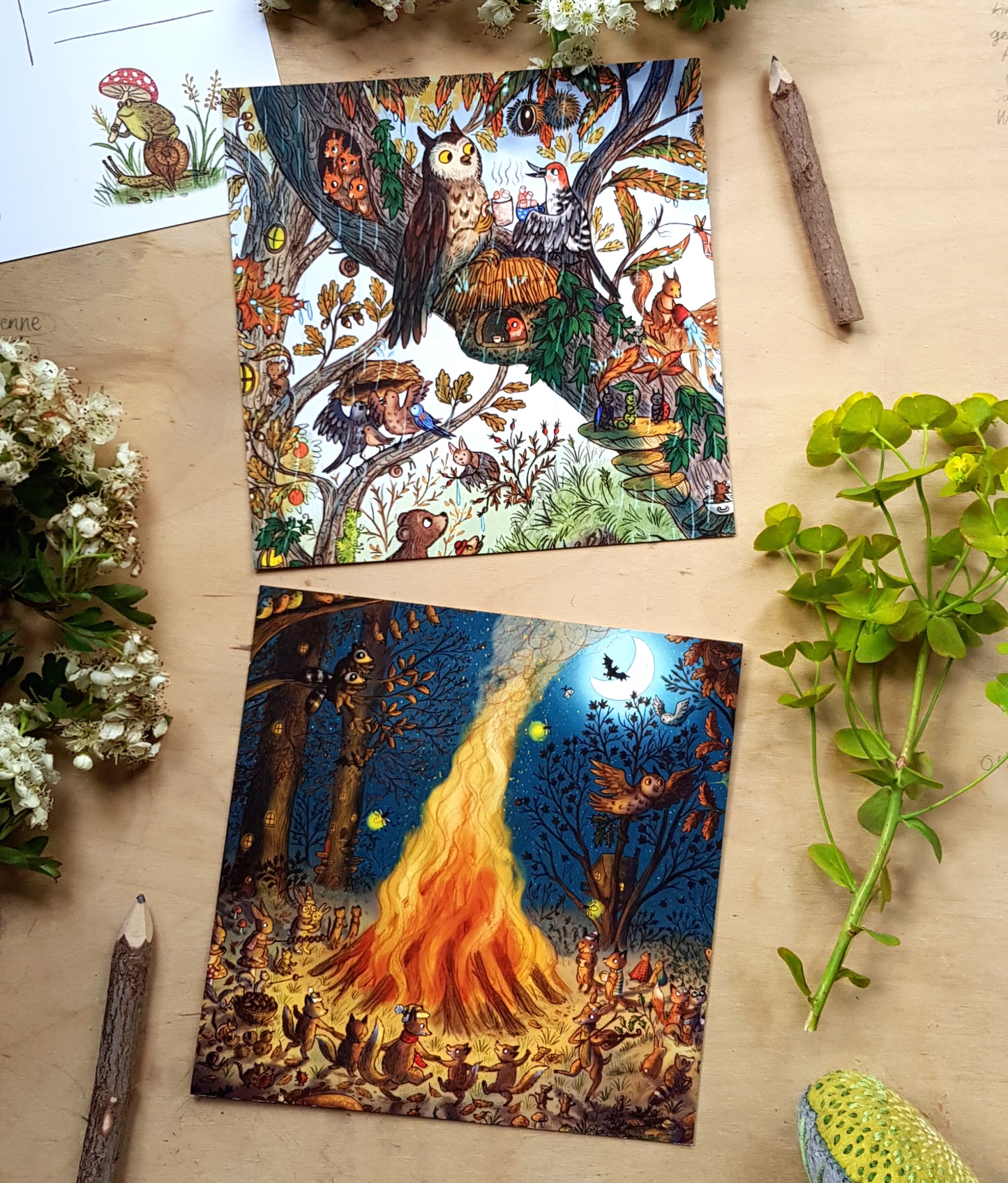 Bumper pack of 10 woodland postcards